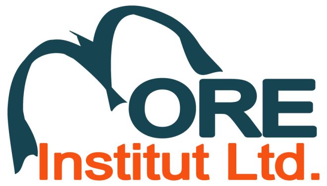 MORE Institut, Ltd logo