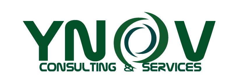 Ynov Consulting & Services