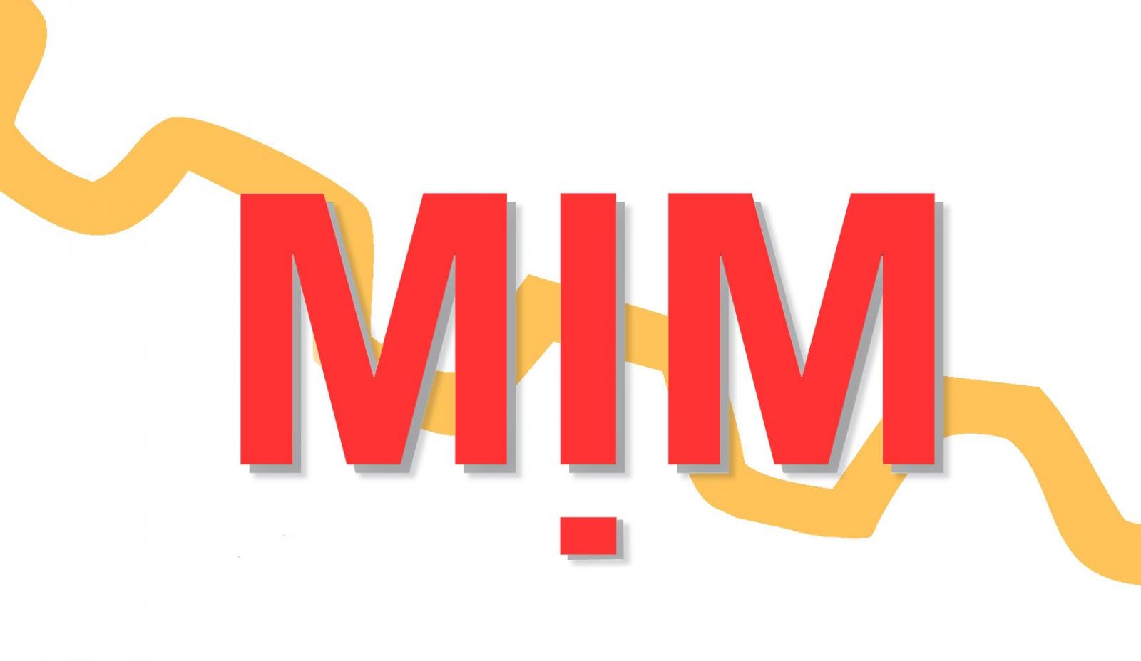 MIM GROUP