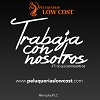 Sociedad Franquiciadora Peluquerías Low Cost